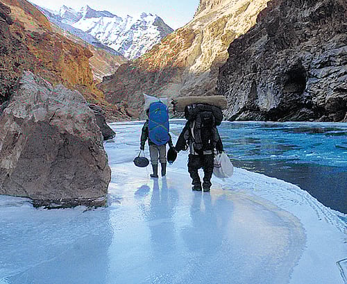 But a decade-old project in London bringing an eco-friendly combination of gardening, horticulture and so-called rewilding to the urban jungle is bearing fruit during the pandemic.