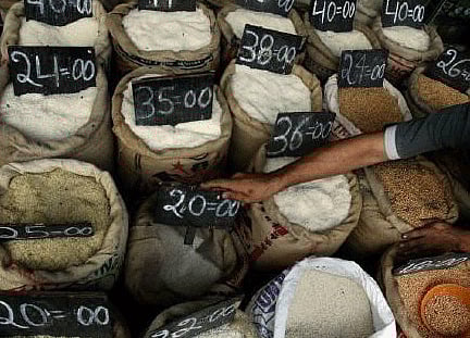 Foodgrain prouction is likely to touch a record 263.2 million tonnes this year, Agriculture Minister Sharad Pawar said . Reuters Image