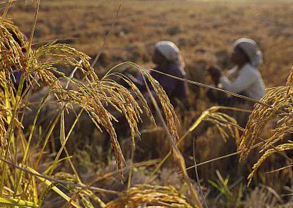 For representational purpose only. AP photo