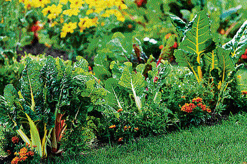 Interiors with a green purpose