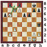 Creativity delights spectators