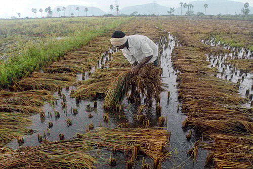 File photo - PTI for representation