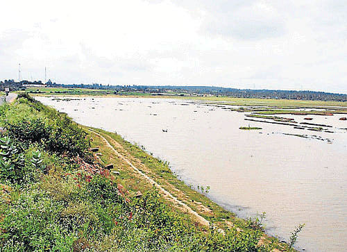 The State government has set up a lake protection committee at a time when major lakes in Bangalore are on the verge of extinction, rued Chief Information Commissioner (CIC) of Karnataka A K M Nayak. DH File Photo