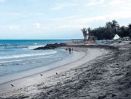 Nature, left on its own, has an intrinsic energy, and sometimes human activity contributes harmoniously to the energy so that it becomes palpable to anyone entering into the particular environment, DH photo