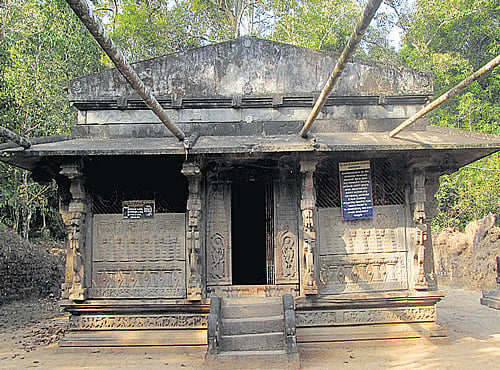 The tranquility of the place and its natural beauty with the flowing river and rich vegetation makes Sodhe a must-visit destination, DH photo