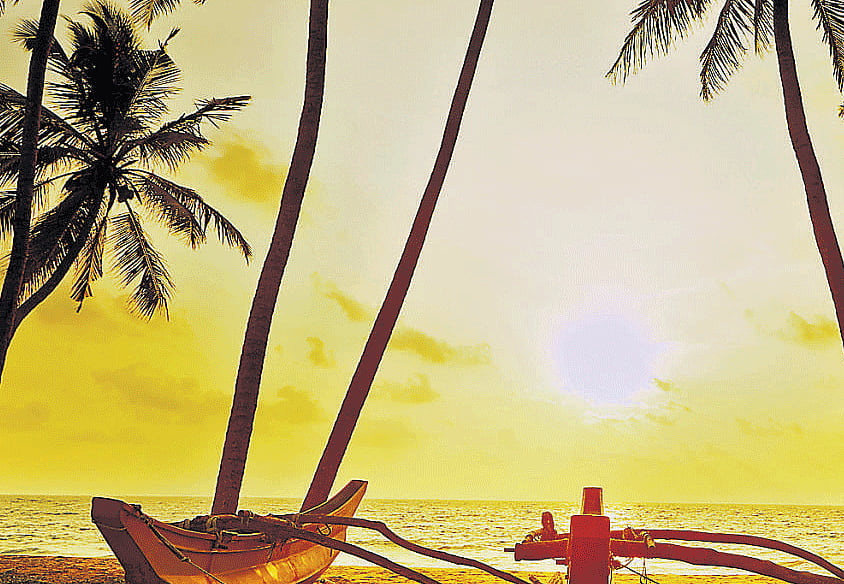 Ru Freeman's 'On Sal Mal Lane' revolves around the civil war in Sri Lanka. DH illustration for representation purpose only.