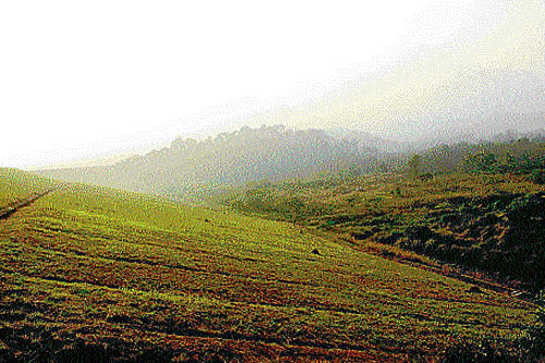 Harsha's instructions, with the precision of a cabin crew, about the two-day-long cycling trip in Wayanad feels repetitive to me - keep yourself hydrated, follow the map, tag along fellow riders, it's Kerala so it will be hot and humid. DH photo