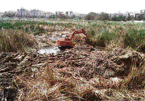 in focus: The Vibhutipura Lake will be beautified at a cost of Rs 2.7 crore in two months. dh Photo