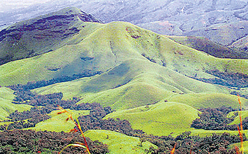 The panel, in its previous meetings, had decided to review the state-owned polluting industries set up in the ecologically sensitive zone. DH file photo