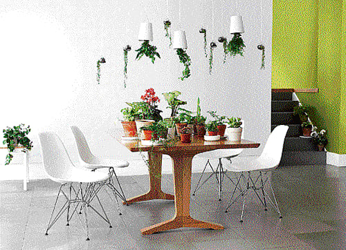With a splash of creativity, such dining corners can be made inviting for the family to dine together.