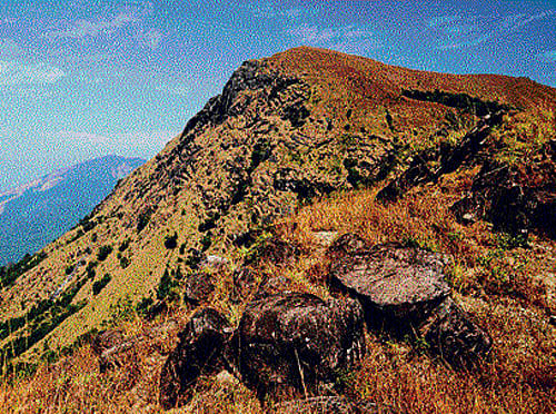 Among the many ghats that traverse the mighty Western Ghats in Karnataka, the one that is known for its outstanding scenery is undoubtedly the Charmadi Ghat.
