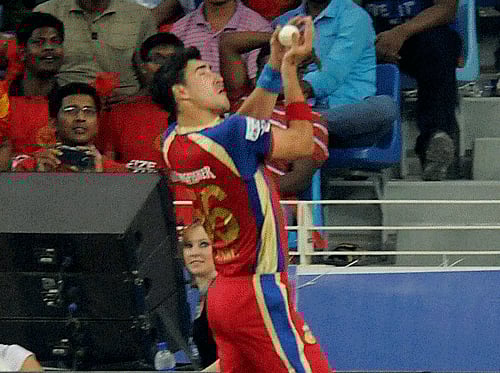 Mitchell Starc of the Royal Challengers Bangalore completes a catch to get the wicket of Wriddhiman Saha of the Kings X1 Punjab during an IPL 7 match in Dubai on Monday. PTI Photo