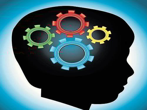 Mapping the prenatal brain reveals critical events.