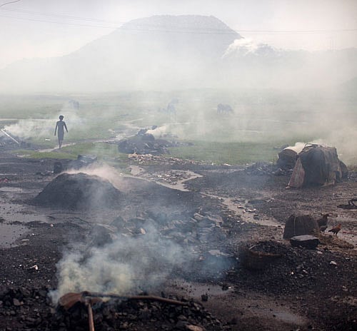 MCL, an arm of state-owned Coal India Ltd, has terminated the services of 126 employees in Odisha for not vacating the land in lieu of which they were given the job as per the terms of appointment, said an official. Reuters file photo