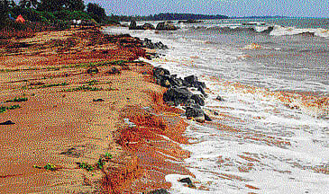 Heavy rain pounded the coastal districts of Udupi and Dakshina Kannada, while showers accompanied by gusty winds, lashed Arsikere in Hassan district on Wednesday night. DH photo
