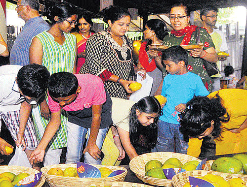 Kids choosing their favourite mangoes. DHNS