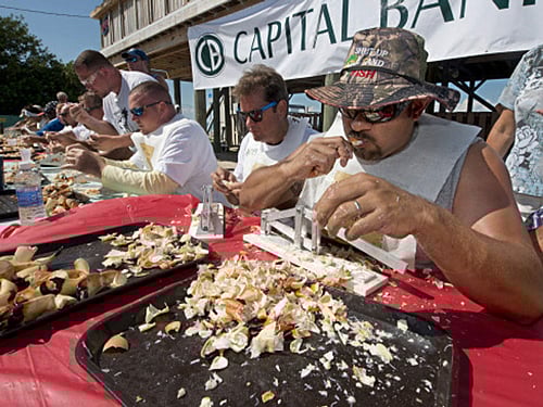 Why is it so rare to bite your own tongue while chewing food? Your brain holds the answer! Reuters file photo for representational purpose only