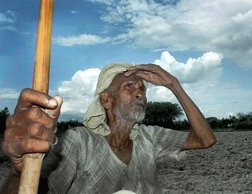 With the monsoon, predicted to be below-normal, threatening to derail the Narendra Modi-led government's economic revival agenda, the Ministry of Agriculture has convened a meeting of state agriculture commissioners and secretaries this week to discuss their preparedness in the event of low rainfall or a drought. PTI File PHoto. For Representation Only.