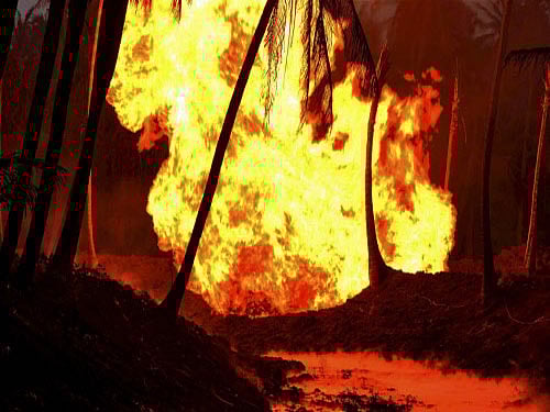 With two more persons succumbing to their burn injuries today, the toll in Friday's deadly fire-blast, apparently caused by leakage from a GAIL gas pipeline here, rose to 19 even as the condition of at least three others remains critical, police said. PTI