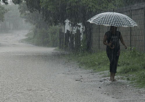 City residents may have to keep their raincoats and umbrellas ready, with the Indian Meteorological Department (IMD), Bangalore, predicting light rainfall for the week ahead. Reuters photo