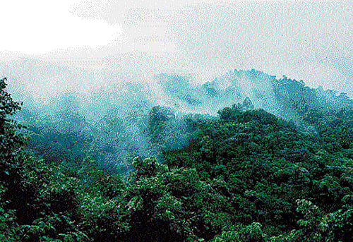 Farmers are given permanent ownership of trees and their yield such as timber and fruits.