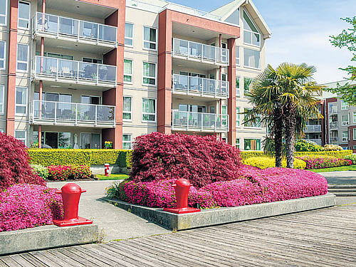 Buyers ask for more landscaping in their complex.