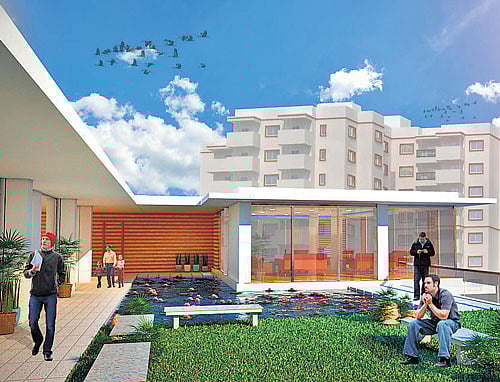 The Lily pond at SNN Raj Serenity.