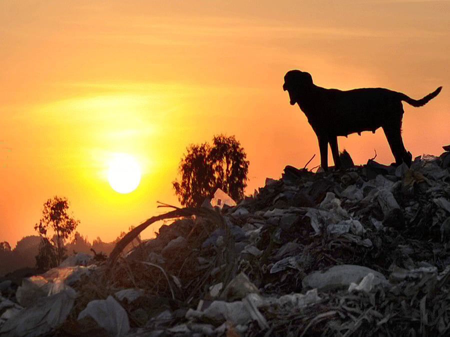 Mandur: Hell on Earth - Part Two (Video)
