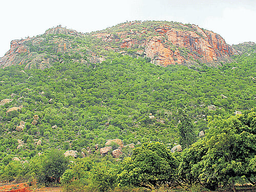 Different views of the rock arch and lichens. Photo by author