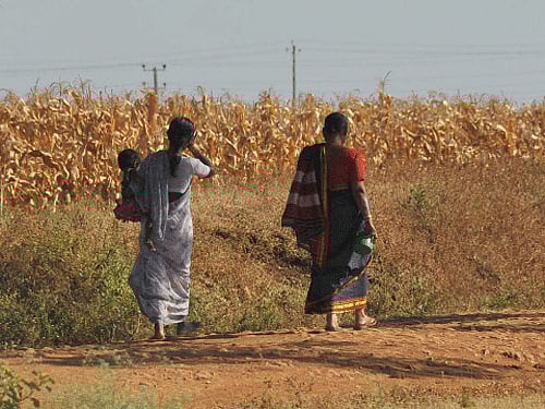 Six newly-wed women have returned to their parents as the house of their in-laws' in Kushinagar district of Uttar Pradesh did not have toilet. DH file photo. For representation purpose