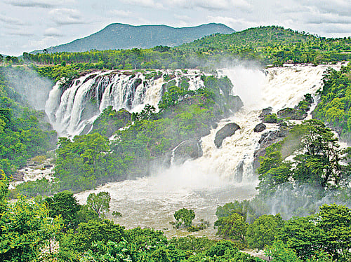 Bharachukki Falls. PHOTO BY AUTHOR