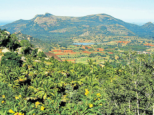 A view of forests and farmland. PHOTO BY AUTHOR
