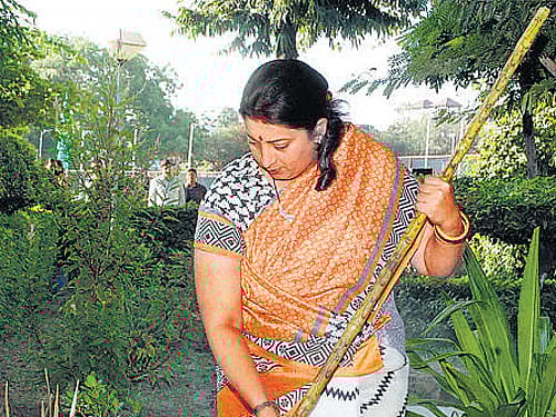 Union Human Resource Development Minister Smriti Irani sweeps the ground at a school in New Delhi as she participates in 'Swachh Bharat Abhiyan', on Wednesday. PTI