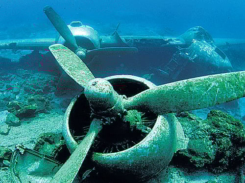 The ill-fated voyage of the ship  has been a source of debate.