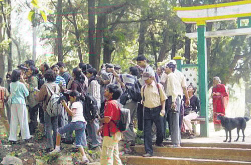 Curious: Some of the bird-watchers in the City