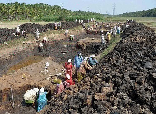 Civil society activists Wednesday claimed that the NDA government at the Centre was trying to roll back the national rural job guarantee scheme, and warned of a large-scale agitation on the issue in December. DH file photo