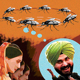 DH illustration- for representation