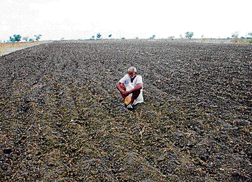 An activist Thursday blamed official apathy for the suicide by six farmers in Maharashtra's Vidarbha region. DH file photo. For representation purpose