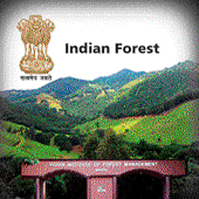 Unlike their colonial predecessors like Cleghorn, Stebbing (Forests of India, Bodley Head, London), Troup, Brandis and others, independent India's forestry professionals have left remarkably limited records of their experiences and insights to benefit relevant stakeholders. / DH Illustration