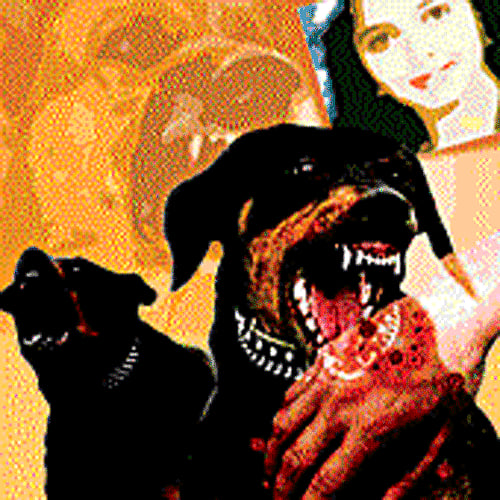 A couple of months ago, a young and sprightly Chetana lapsed into coma, never to wake up again. / DH Illustration