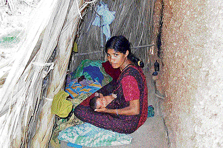 Banished: This file photo shows a woman nursing her baby in a temporary shelter set up outside her house at Gollarahatti near Halebid in Hassan district. Women of Golla community are banished from their homes during menstruation and post-child birth. DH photo