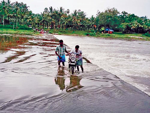 Excess rainfall during North East monsoon may have helped Tamil Nadu farmers prepare for the crop season, but it did not improve the abysmal groundwater levels in 25 districts, raising concerns over availability of drinking water in the state. PTI file photo