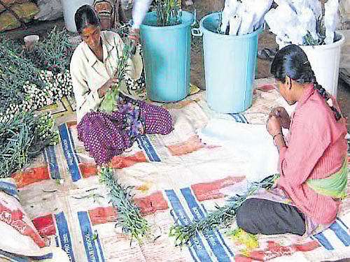 Women engage in packing flowers. dh photos