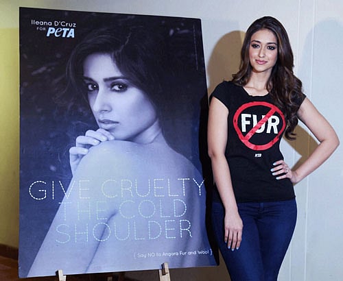 She's a star in the southern film industry, and she's earned her share of appreciation in Bollywood courtesy Barfi!. Now Ileana D'Cruz says she has become particular about the movies she picks. File photo PTI