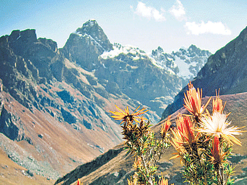 Prehistoric people didn't need a long time to adapt to high altitudes.