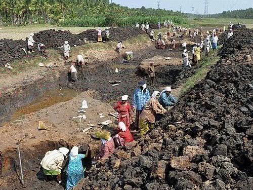 Women are engaged in canal digging work under the MGNREGA in Thrissur. The MGNREGA rural job programme and other social welfare schemes will take a significant hit due to the 15 percent budget cut that the ministry of finance is believed to have proposed recently, social activists said Saturday. PTI file photo
