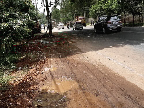 'Beware, Animal Crossing', 'Caution: Go Slow, Leopard Crossing.' These are some of the sign boards Bengalureans cruising on Bannerghatta Road will soon be greeted by. DH file photo