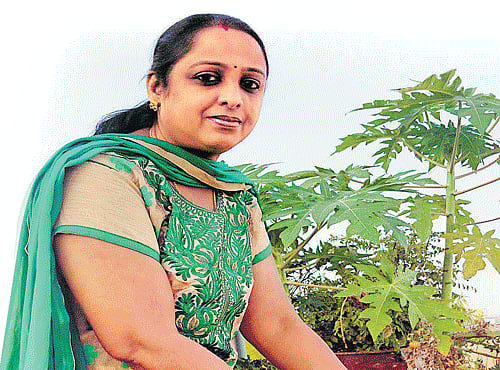 There are a lot of people in the City who have been passionately growing and consuming organic food. Even a small patch of space is being used to grow vegetables.