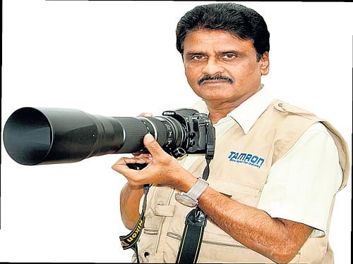 what a view Some of  B Srinivas's spectacular pictures of the wild.