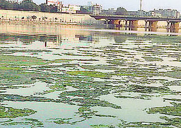 The restoration plan for the dirty Yamuna may not be a complete copy of the Sabarmati river front development project in Gujarat as the two rivers' ecological models are different, say Delhi environment department officials who visited Ahmedabad for studying the Sabarmati revival model. File Photo